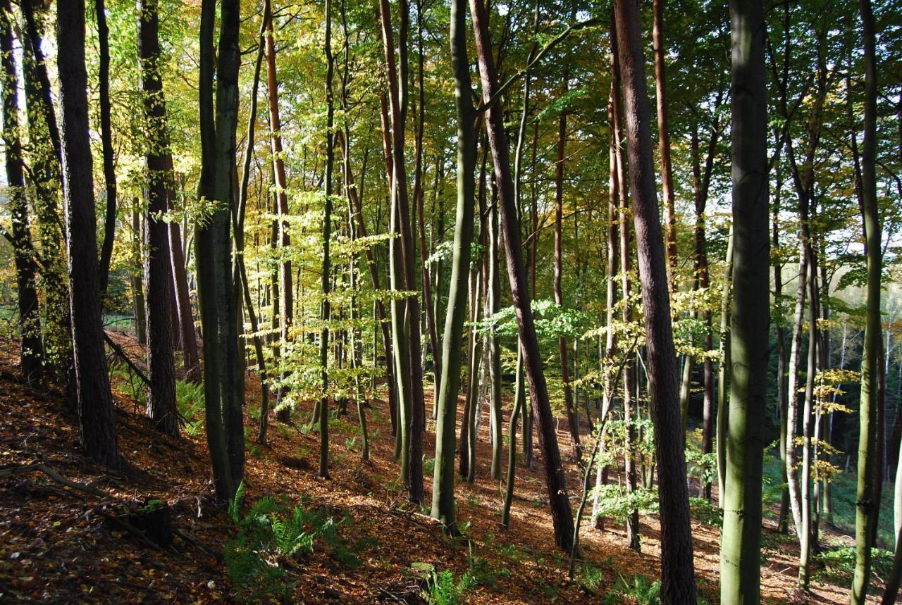 Osrodek Wypoczynkowy Laguna Любневице Екстериор снимка